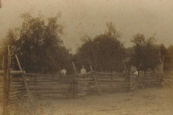 oldgrove1.jpg