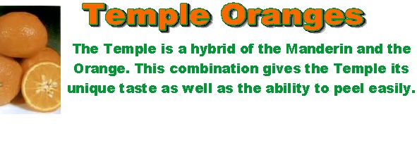 templedes.jpg