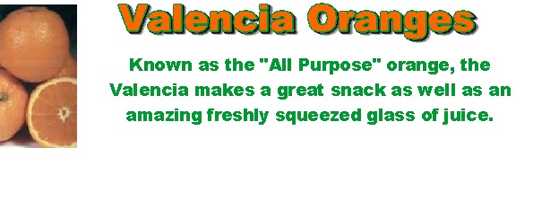 valenciades.jpg